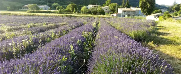 Carport Solaire 04 Installateur carport solaire La Rochegiron